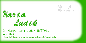 marta ludik business card